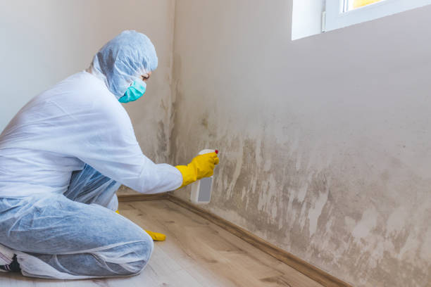 Mold Remediation specialist working in Elk Grove Village